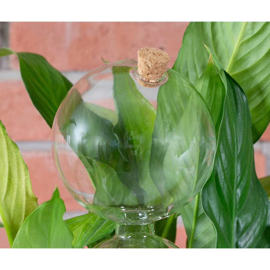 KULA NAWADNIAJĄCA do roślin kwiatów SZKLANA 850ml