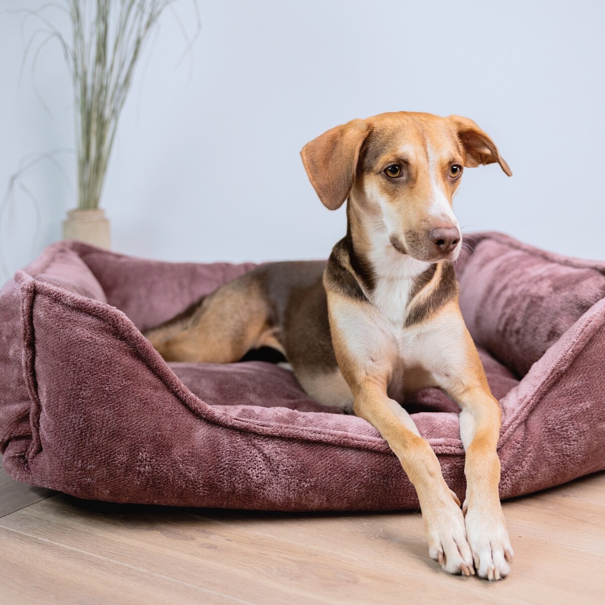 Ortopedyczne legowisko dla psa IRIS, 100x80 cm, Róż