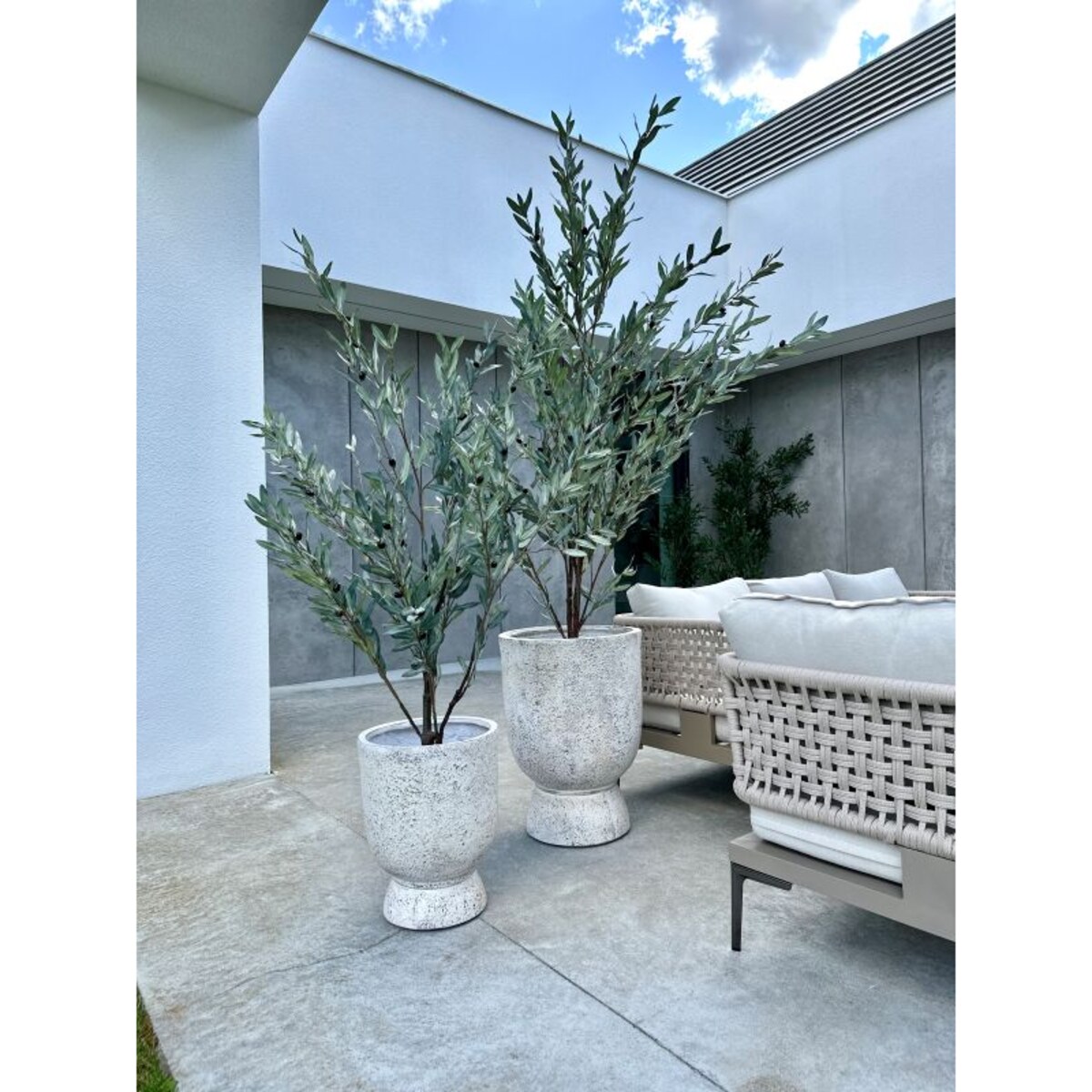 DUŻE DRZEWKO OLIWNE SZARE 190 cm