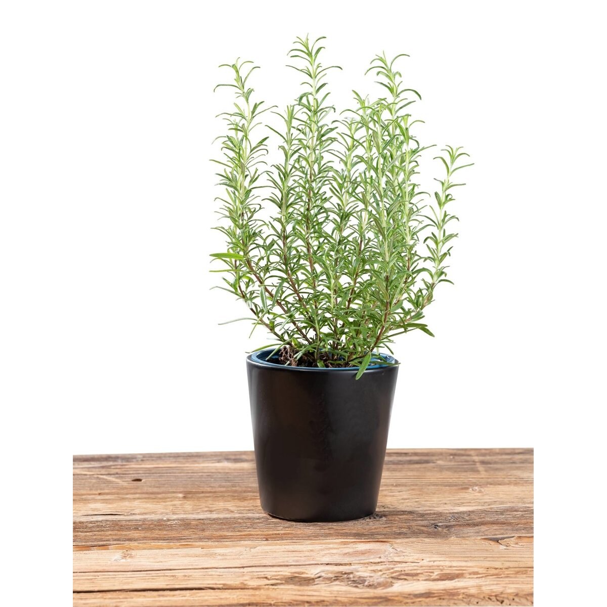 Doniczka na zioła KURO, ceramiczna, Ø 13 cm, WENKO