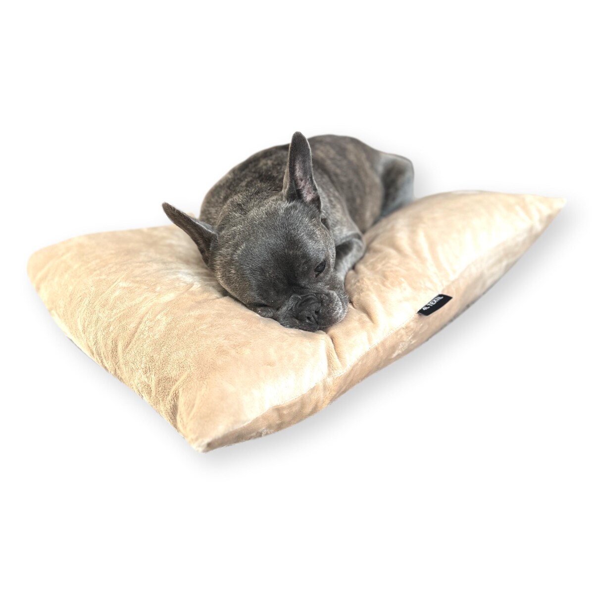Miękka poduszka dla psa MALIBU, 60x50 cm, Beż
