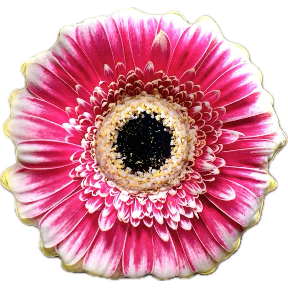 Poduszka kwiat Gerbera mała