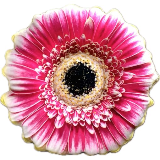 Poduszka kwiat Gerbera mała