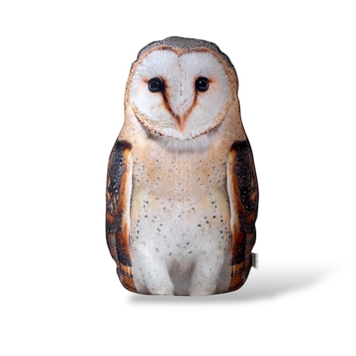 Poduszka Sowa Płomykówka mała