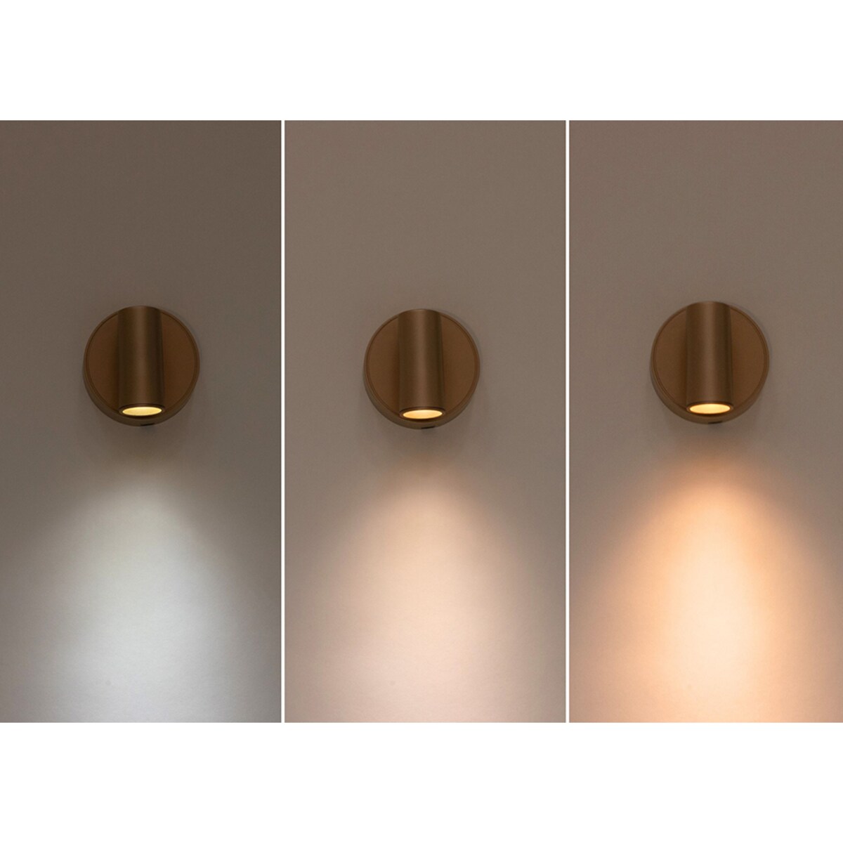 Lampa ścienna SHP PICKET LED złota 3 barwy światła