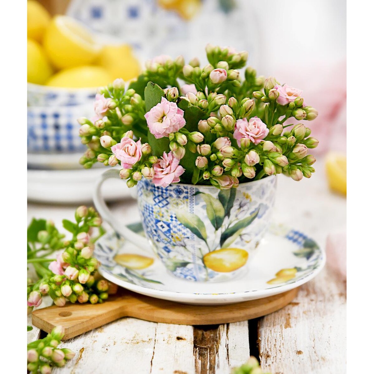 VILLA ITALIA Filiżanka ze spodkiem porcelanowa 240 ml LIMONETTI