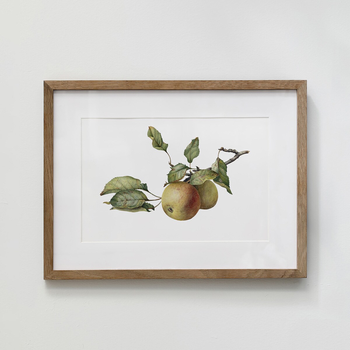 Plakat Gałązka z jabłkami 30x40cm