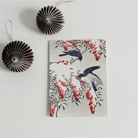 Plakat Muchołówki Zimą w Białej Ramce