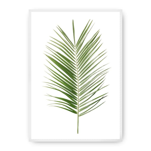 Plakat Palm Leaf Green, 30 x 40 cm, Ramka: Biała
