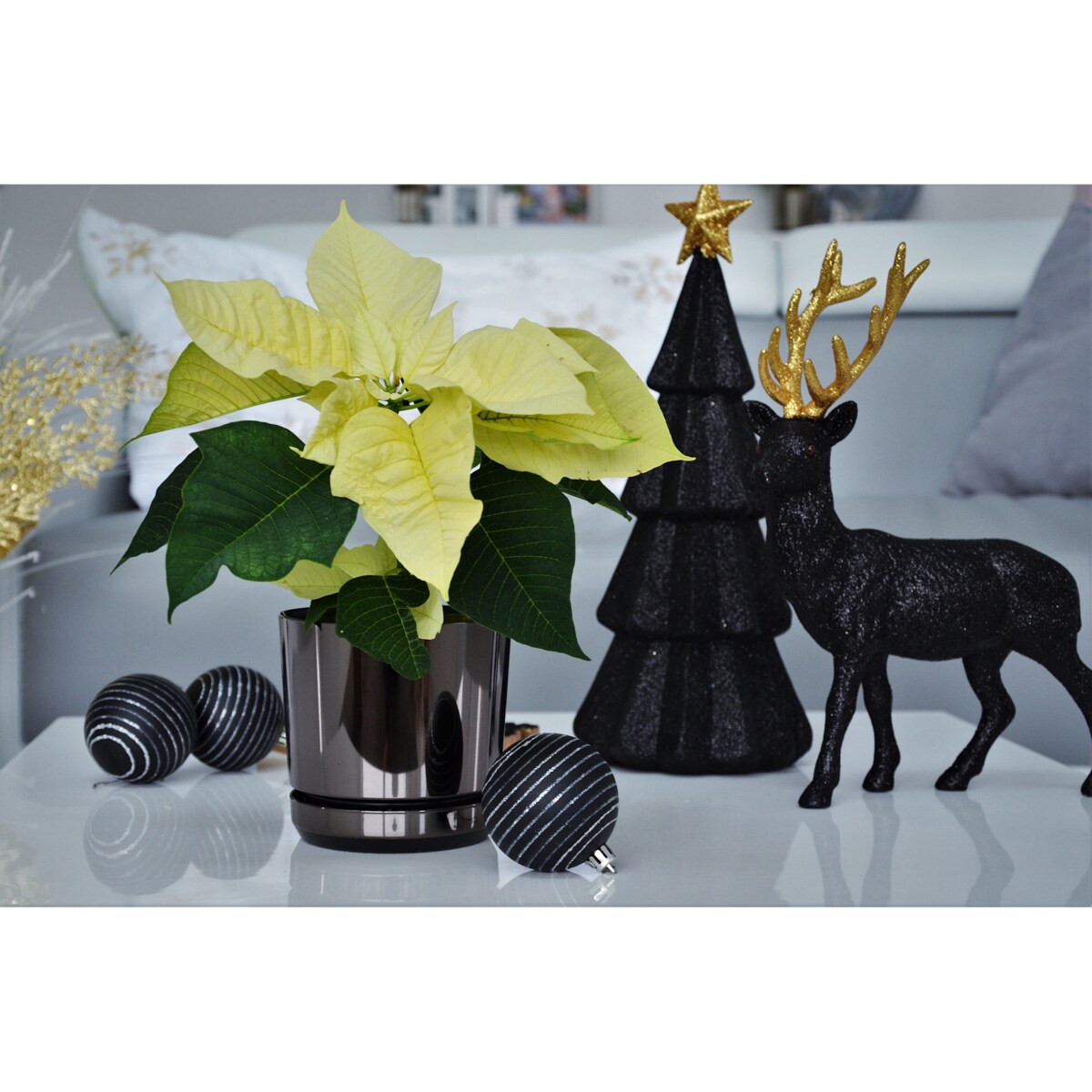 26 cm wzór CZARNY BŁYSZCZĄCY Doniczka z podstawką nowoczesna glamour efekt lustra black wysoki połysk metaliczna elegancka