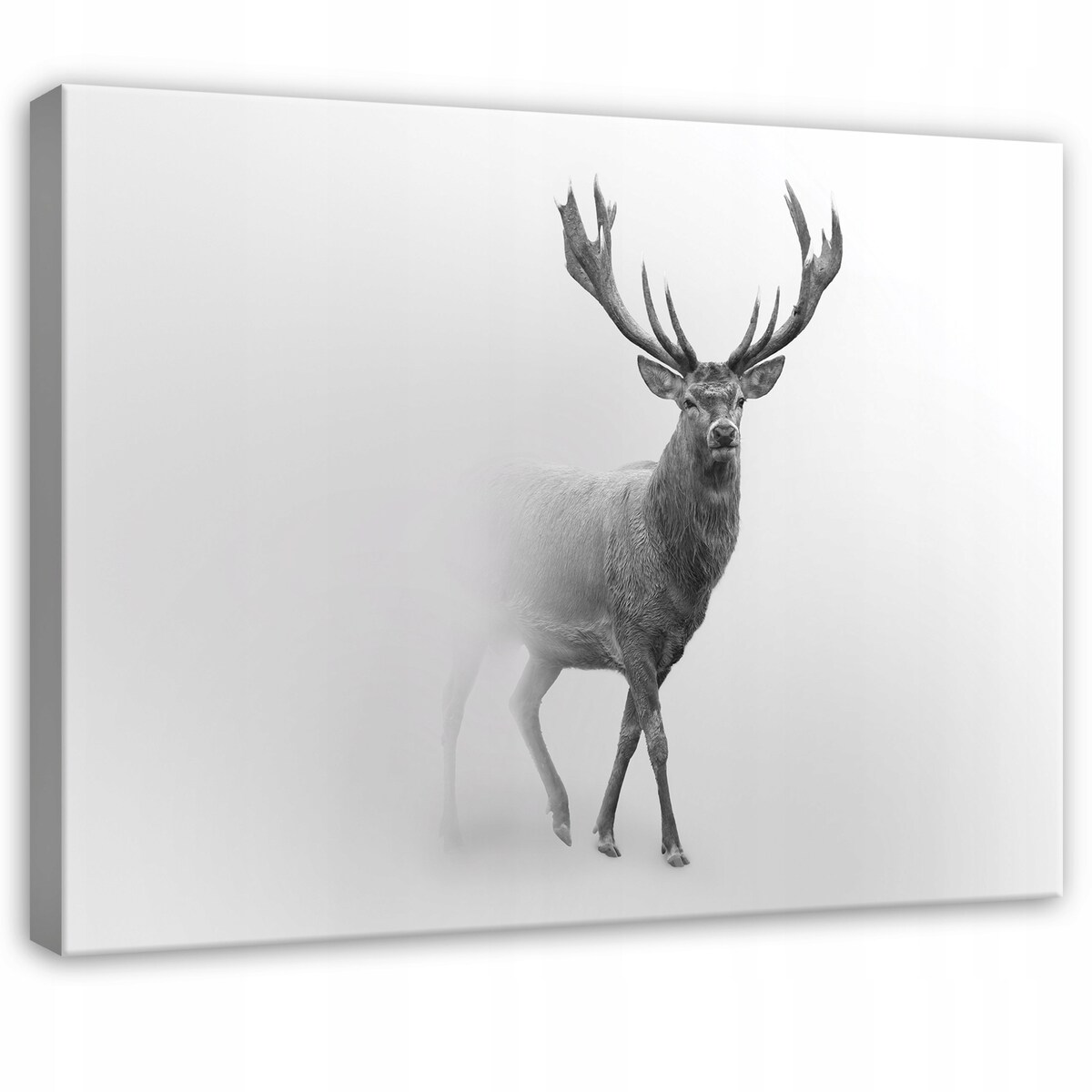 Obraz Do Sypialni Salonu Na Płótnie Jeleń Zwierzęta Szary 60x40