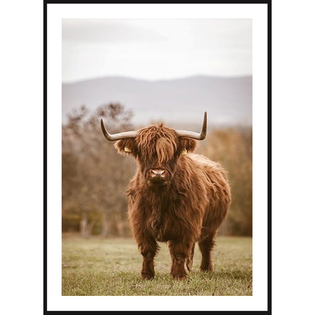 Poster Story, Plakat, Obraz - Las Świerkowy z Lotu Ptaka, wymiary 21 x 30 cm