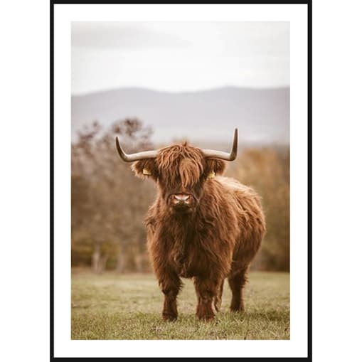 Poster Story, Plakat, Obraz - Las Świerkowy z Lotu Ptaka, wymiary 21 x 30 cm