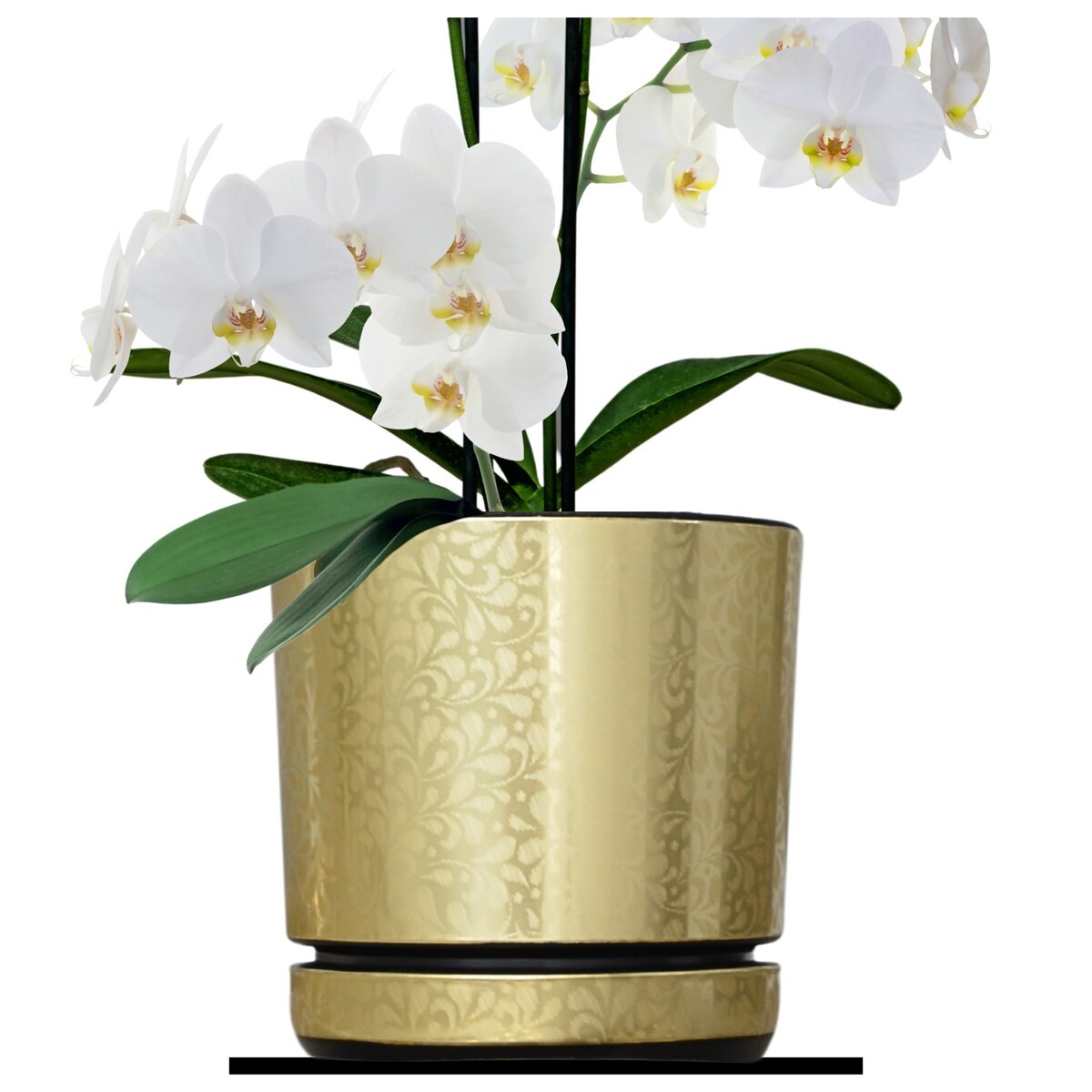 16 cm piękny wzór ZŁOTA KORONKA kobieca motyw artystyczny elegancki glamour ekskluzywna wyrafinowana