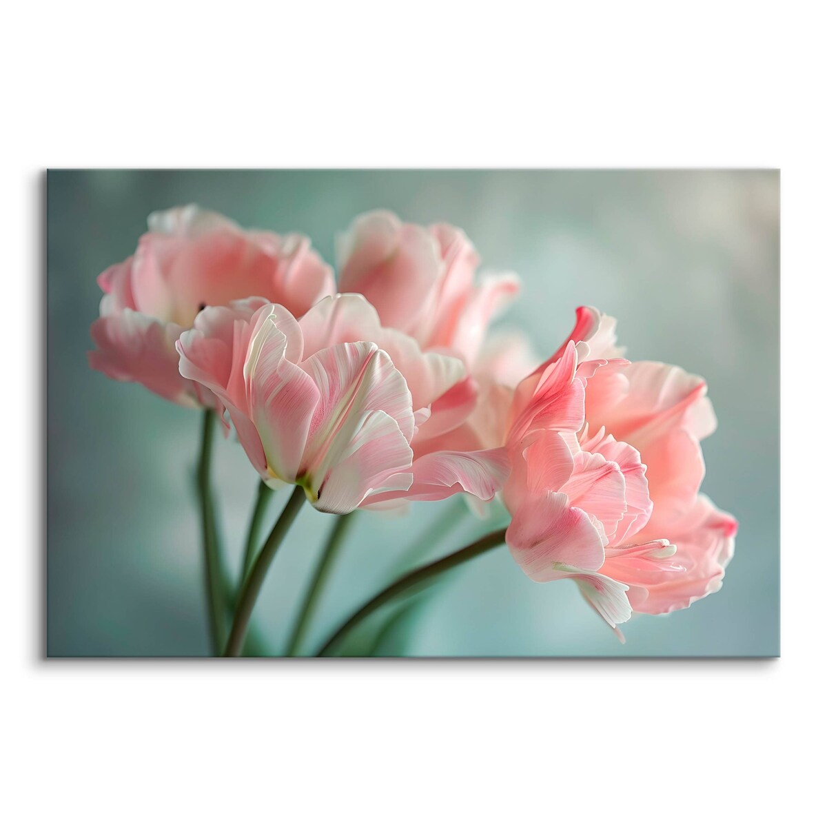 Obraz Canvas Do Salonu Jadalni Różowe Tulipany Kwiaty Natura Rośliny 70x50cm