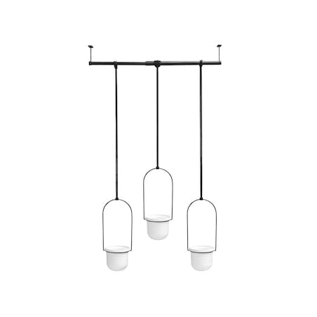 Kwietnik (biało-czarny) Triflora Umbra