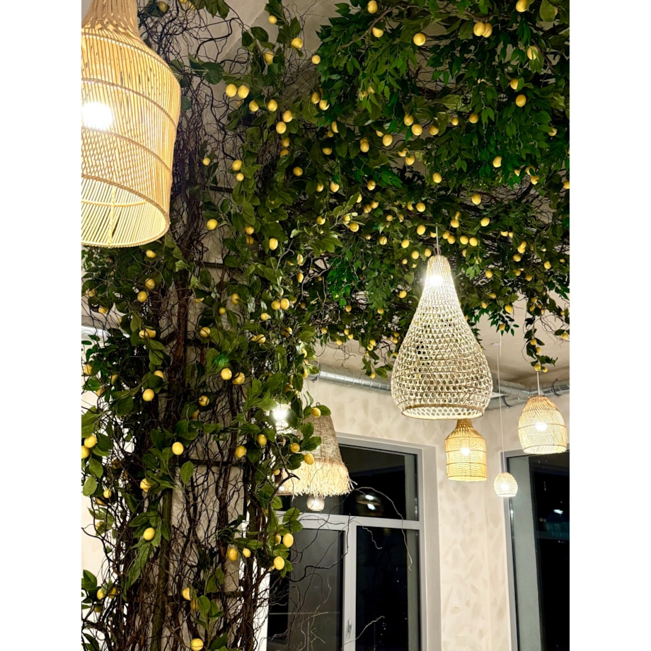 Instalacja z cytryn - drzewo cytrynowe 25m2