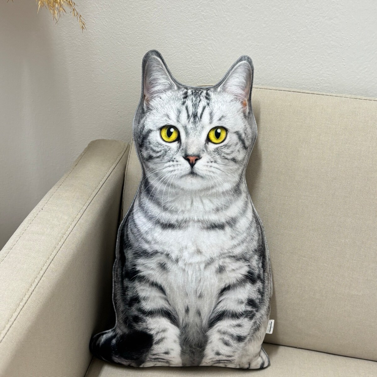 Poduszka dekoracyjna Kot domowy pręgowany srebrzysty jasny szary