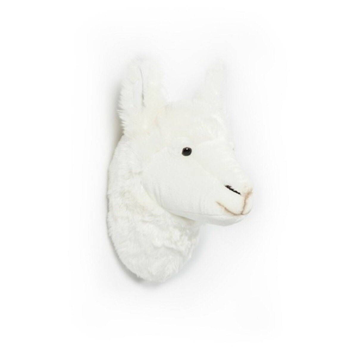 Trofeum na ścianę Lama, Wild&Soft