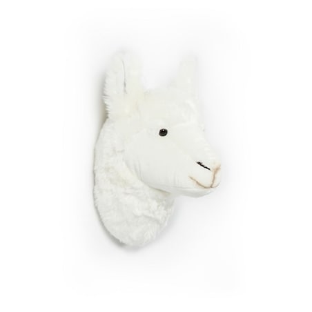 Trofeum na ścianę Lama, Wild&Soft