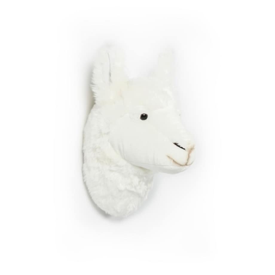 Trofeum na ścianę Lama, Wild&Soft