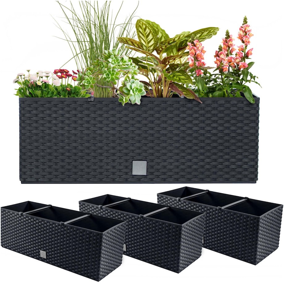 Skrzynki Balkonowe Na Kwiaty Rośliny Doniczka