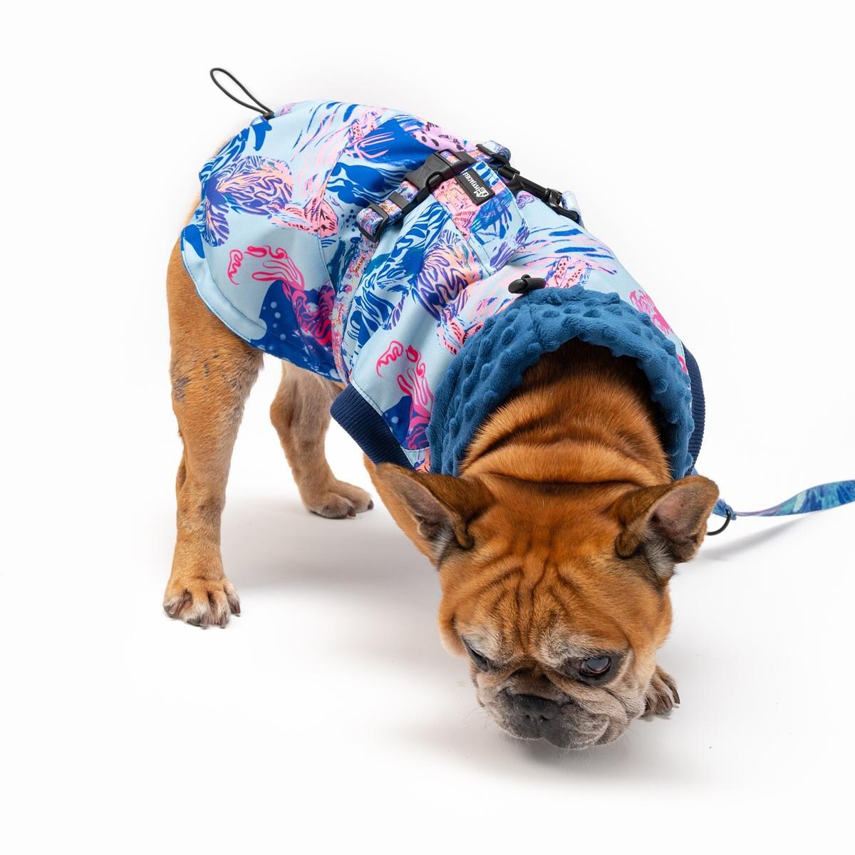 Kurtka dla psa Psychofanka - Rozmiar: XL