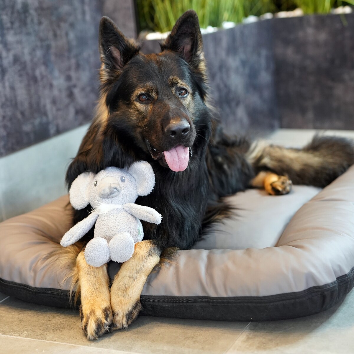 Legowisko Ponton dla psa z eko skóry ELLA, 90x70 cm, Szary