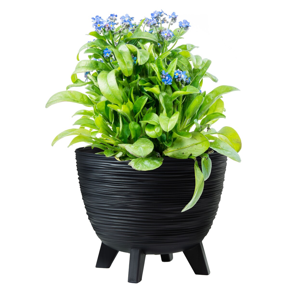 Donica Na Kwiaty 39,5 Cm Na Nóżkach Doniczka Misa Do Domu Ogrodu Wrzosy