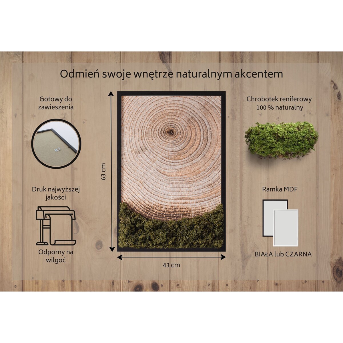 Obraz Słoje drewna - mech chrobotek w czarnej ramie 40x60cm