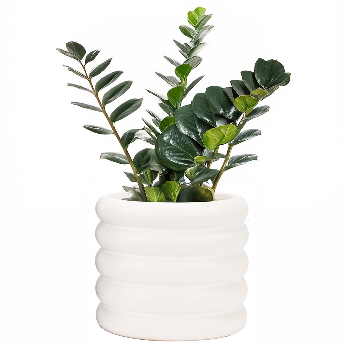 DONICZKA BIAŁA CERAMICZNA 15cm do domu salonu kwiatów osłonka na parapet
