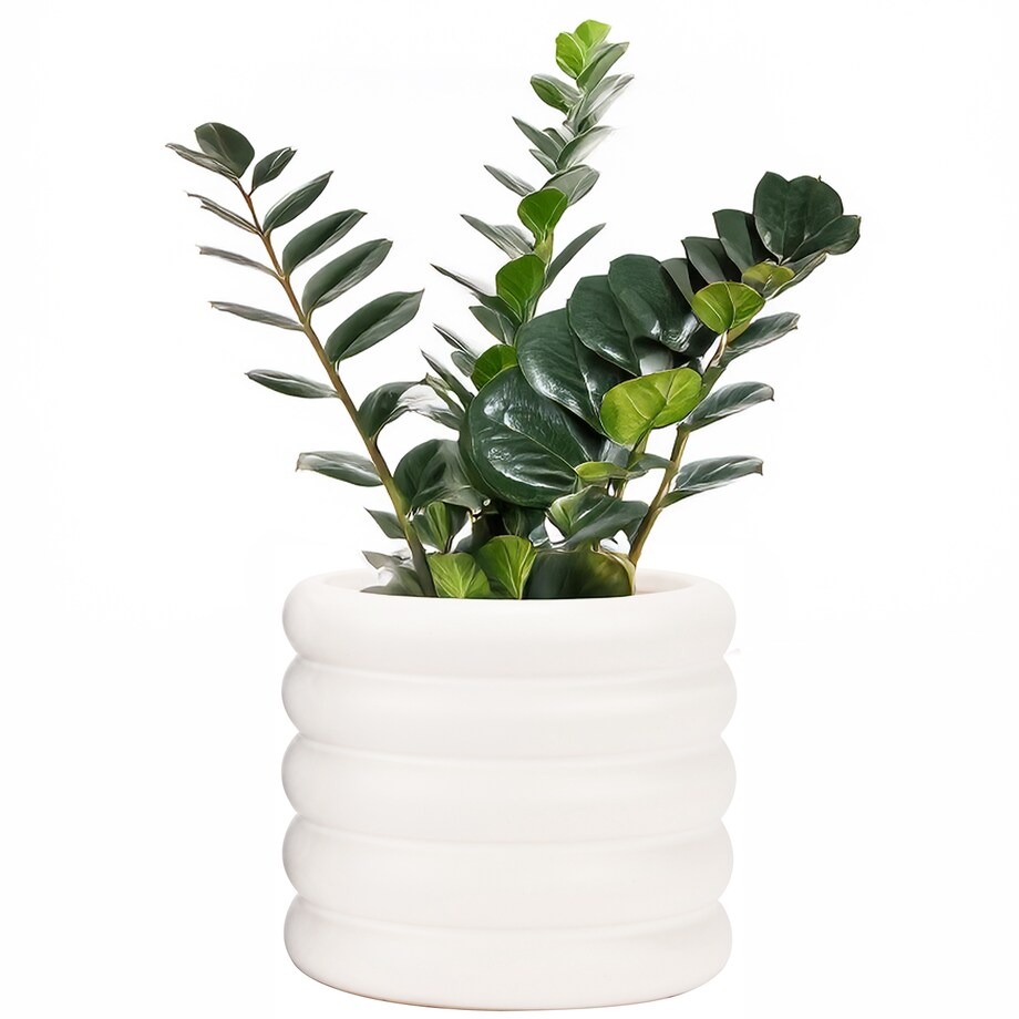 DONICZKA BIAŁA CERAMICZNA 15cm do domu salonu kwiatów osłonka na parapet