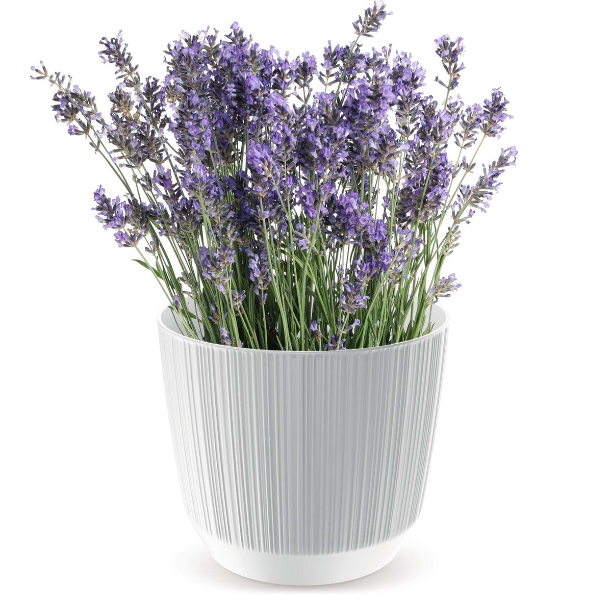 Doniczka Osłonka Domowa 14,6 Cm Ryfo Na Stół Parapet Do Domu Biała