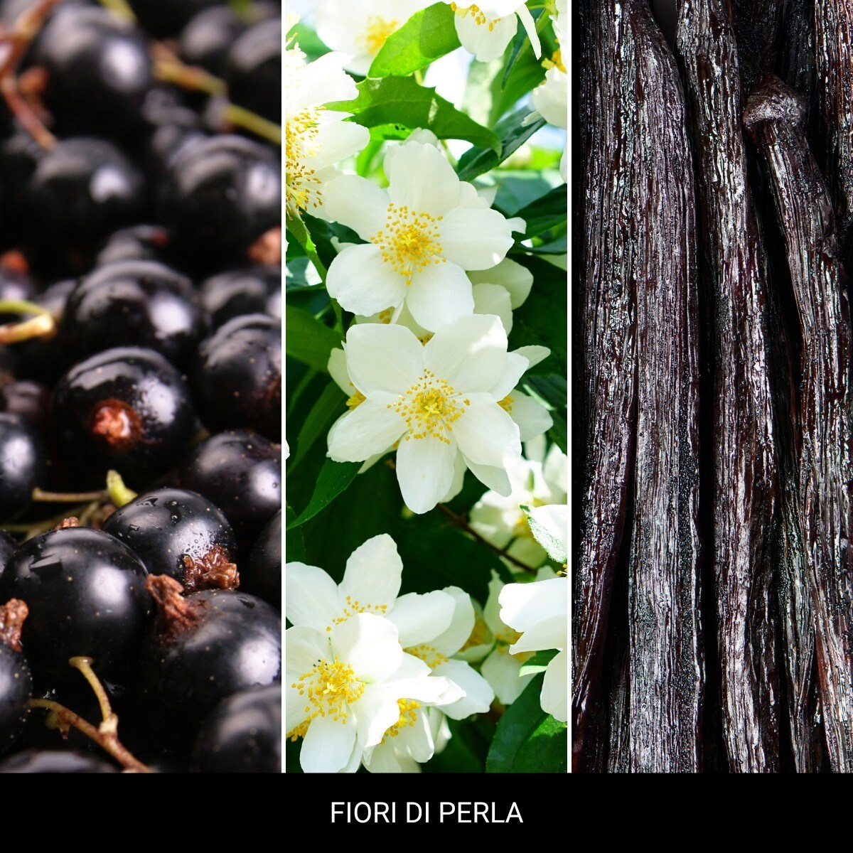 Millefiori LAUNDRY - Spray 100ml FIORI DI PERLA