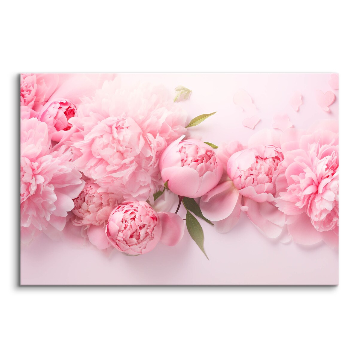 Obraz na płótnie Różowe piwonie 30x20cm