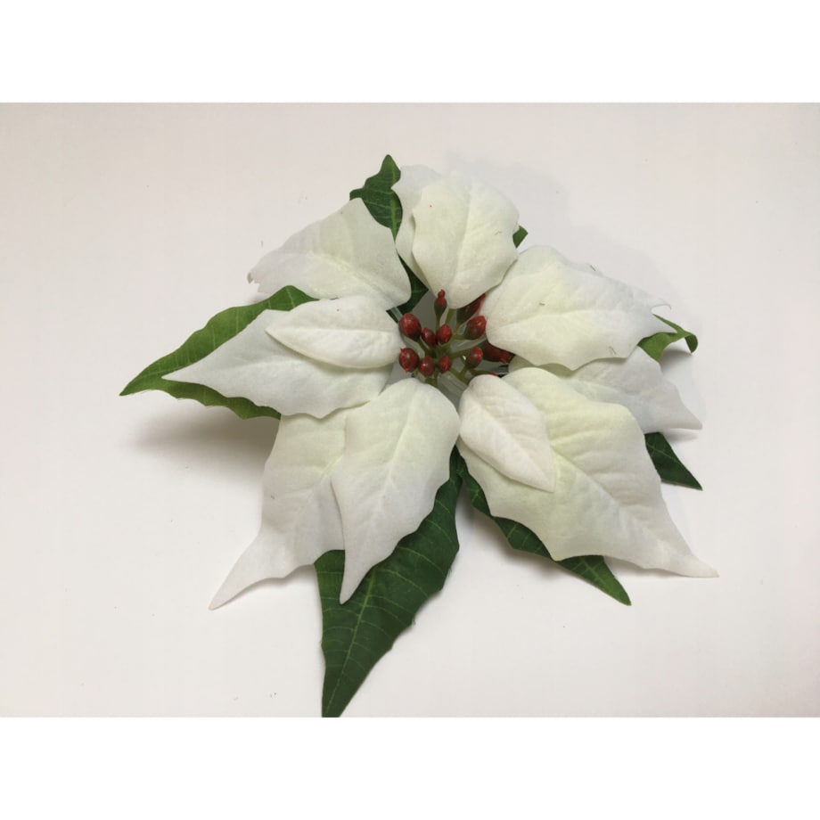 GWIAZDA KWIAT poinsecja BETLEJEMSKA BIAŁA jak żywa na bukiet stroik wianek