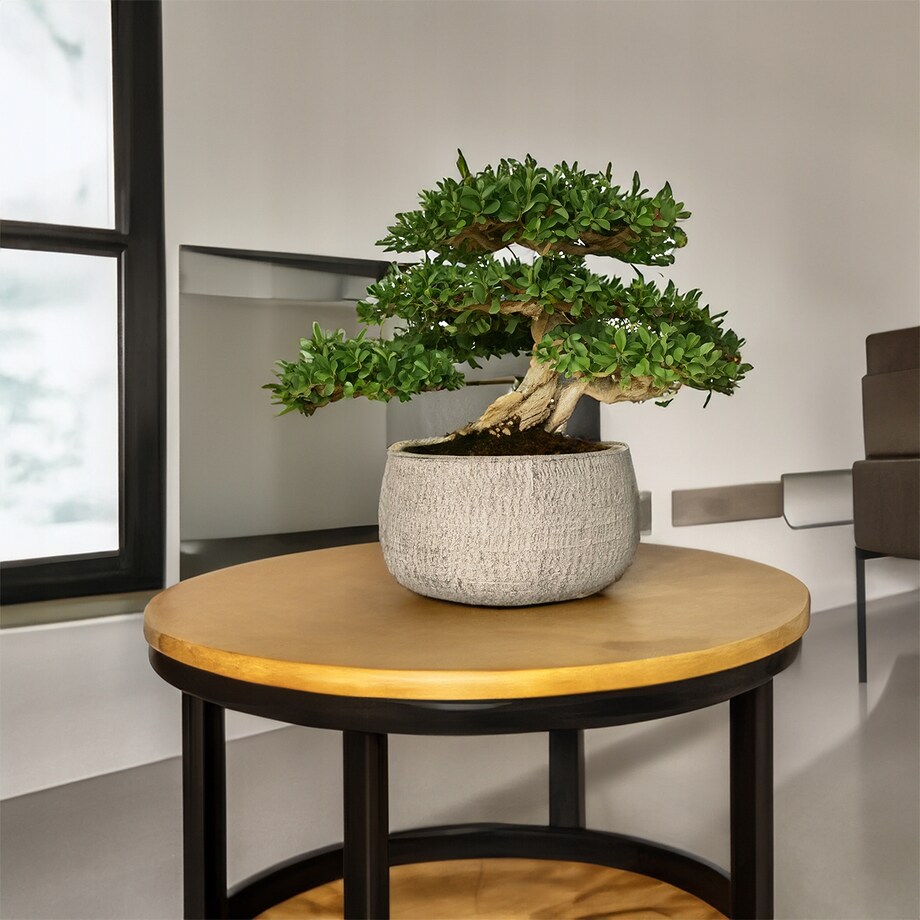 DONICZKA NA BONSAI PŁASKA NISKA DUŻA 24cm skandynawska okrągła na balkon