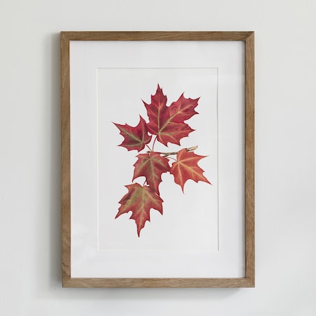 Plakat Jesienne liście #1 30x40cm