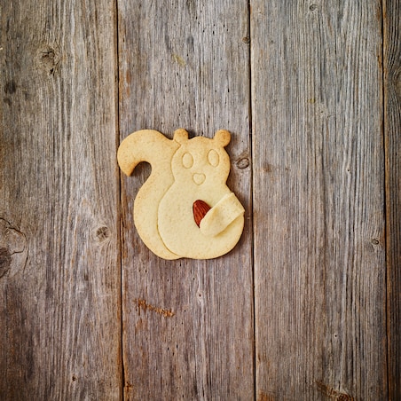 Foremka do wykrawania ciastek WIEWIÓRKA PRZYTULANKA / Birkmann