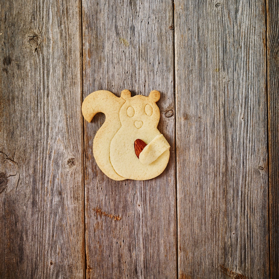 Foremka do wykrawania ciastek WIEWIÓRKA PRZYTULANKA / Birkmann