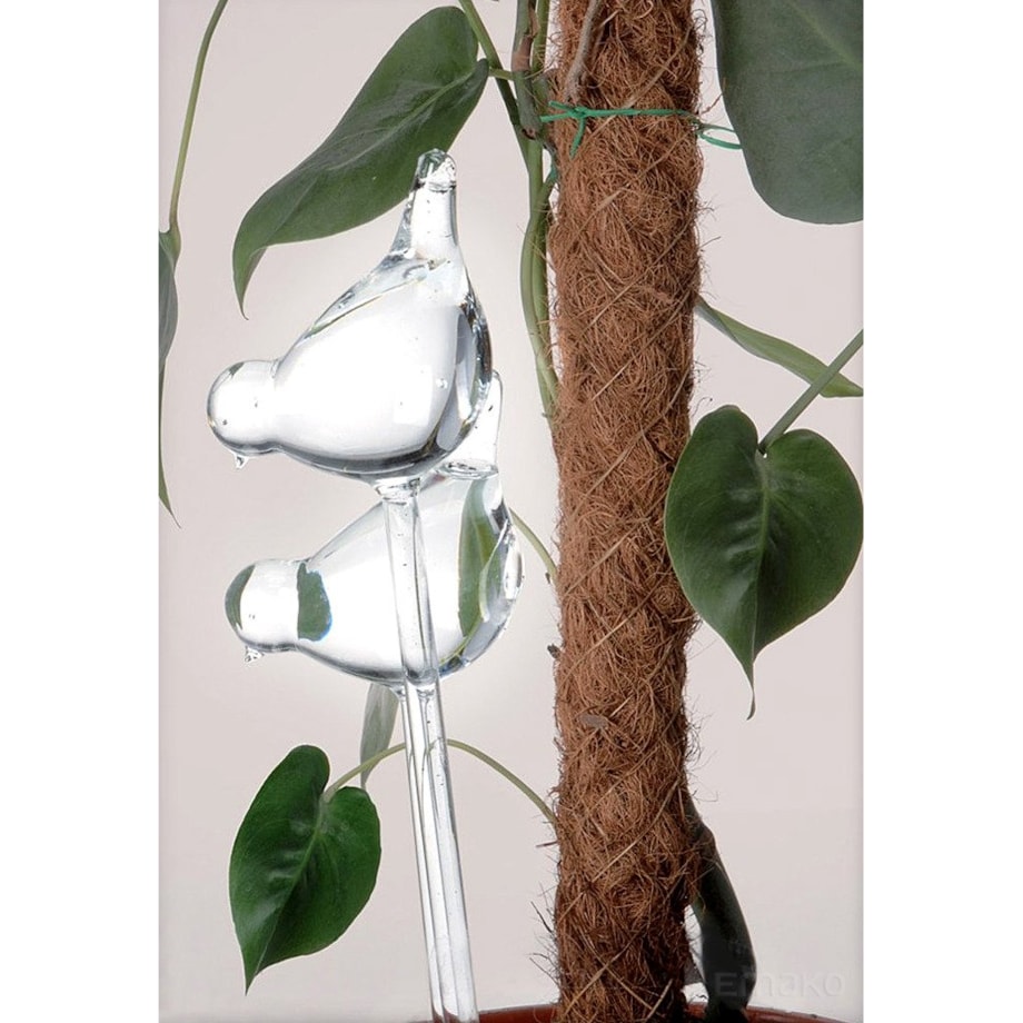 Szklany nawadniacz do podlewania roślin PTAK - 2 sztuki w komplecie