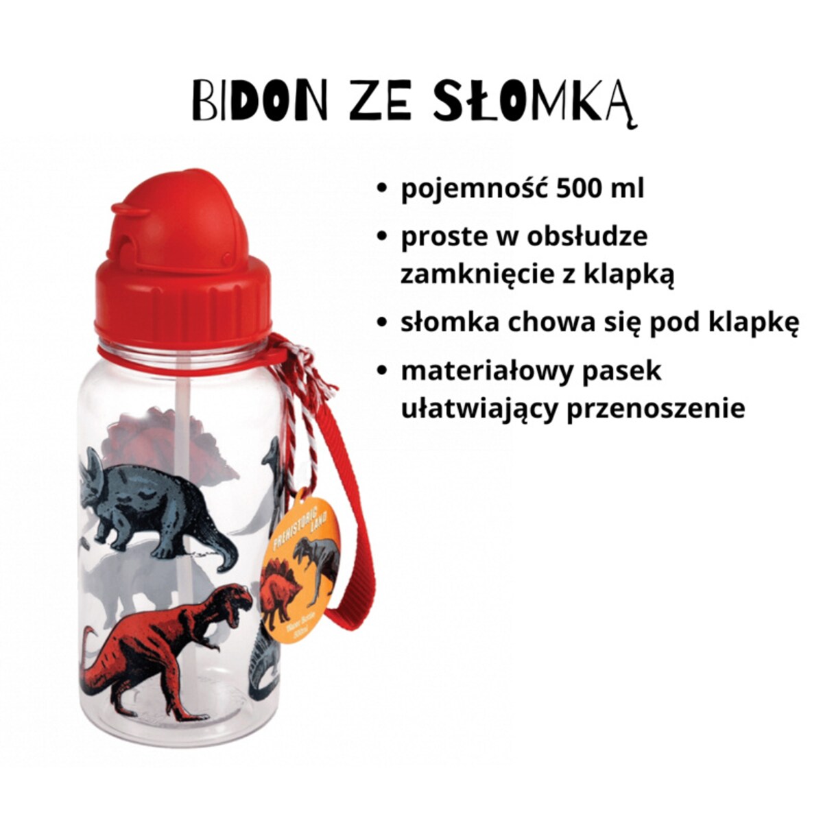 Zestaw do szkoły: bidon ze słomką 500 ml + Lunchbox z tacką Dinozaury, Rex London