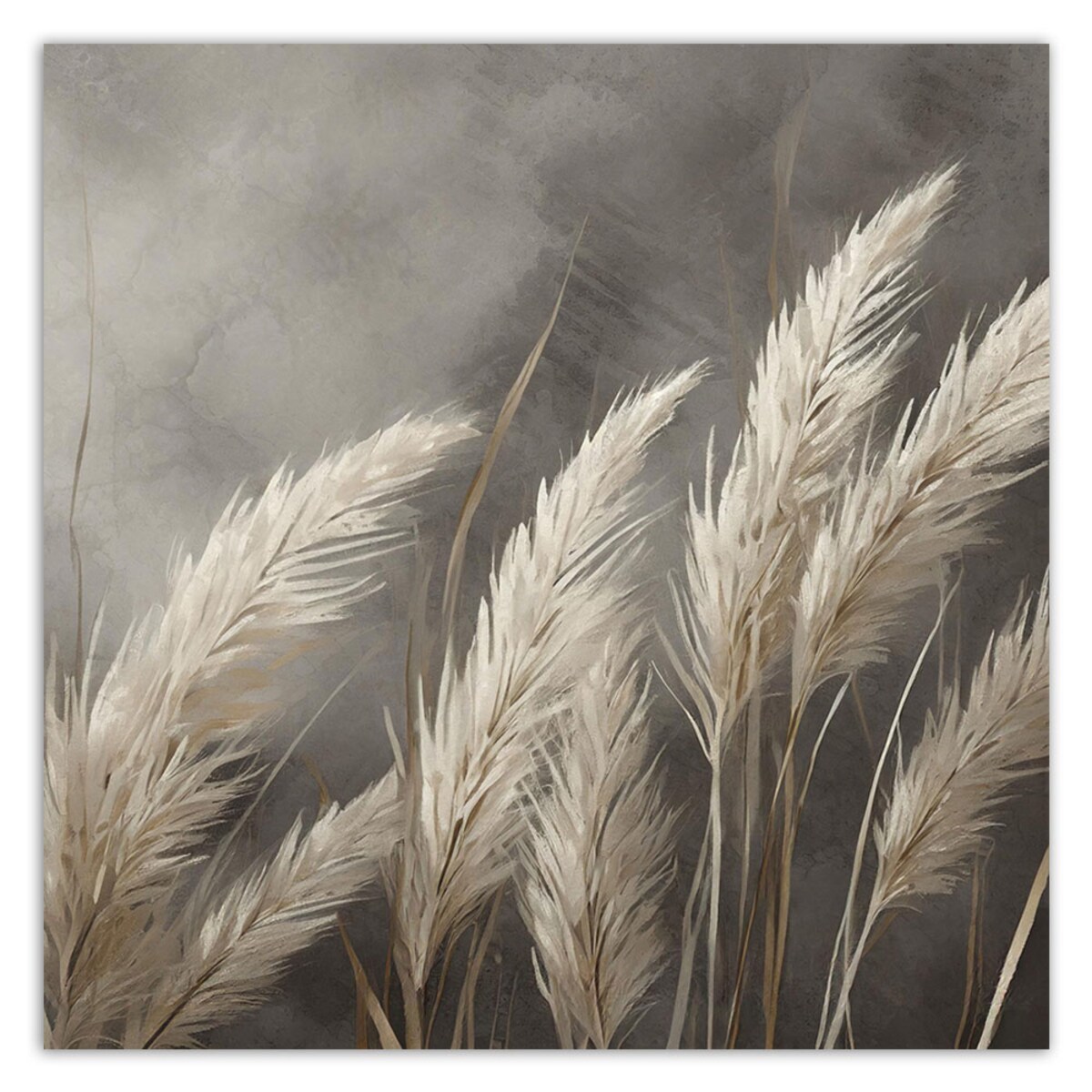 Nowoczesne obrazy na płótnie Trawa Natura Botanika Beżowy Szary 60x60