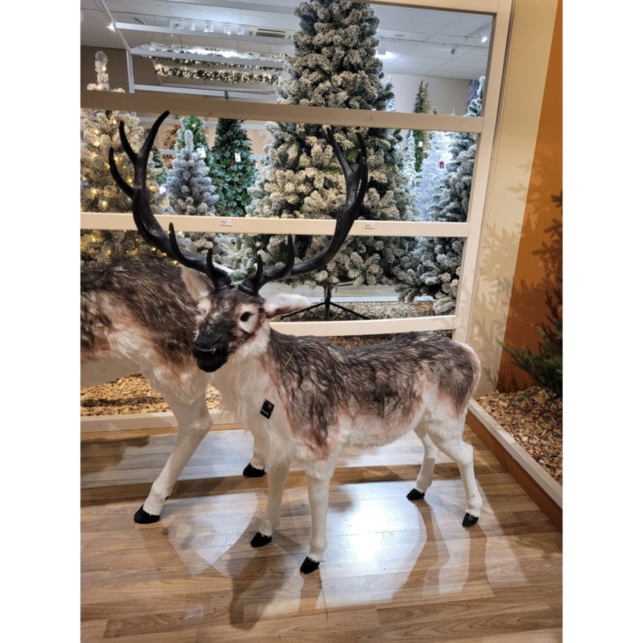 Figurka MAXI Renifer jak żywy 180 cm