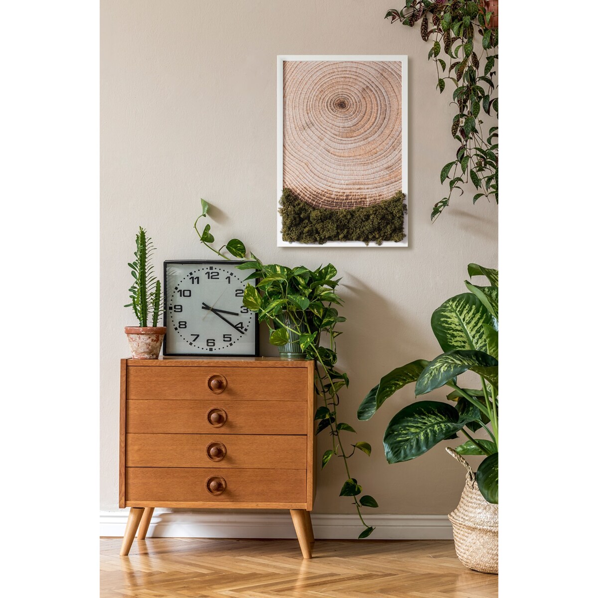 Obraz Słoje drewna - mech chrobotek w białej ramie 40x60cm