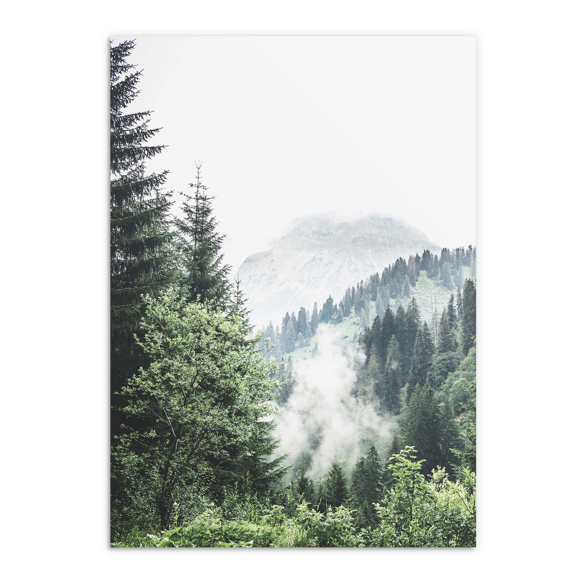 Plakat do sypialni salonu Obraz w ramie 50x70 Las we mgle