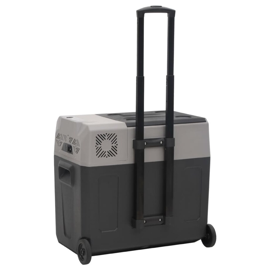vidaXL Lodówka na kółkach, z zasilaczem, czarno-szara, 40 L, PP