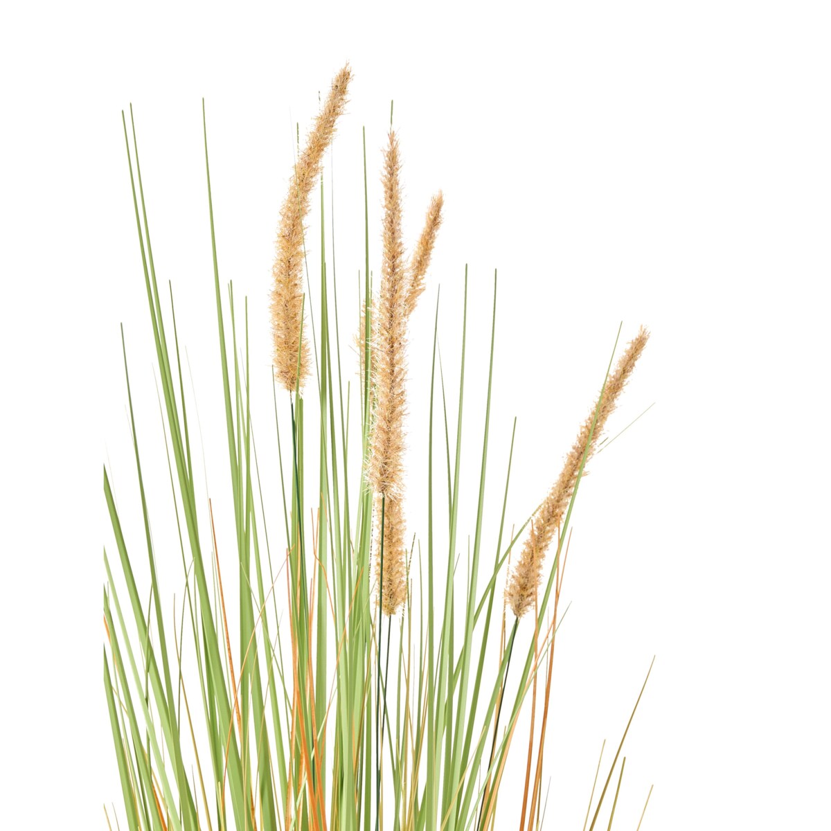 Sztuczna roślina BRISTLEGRASS 90 cm Zielony