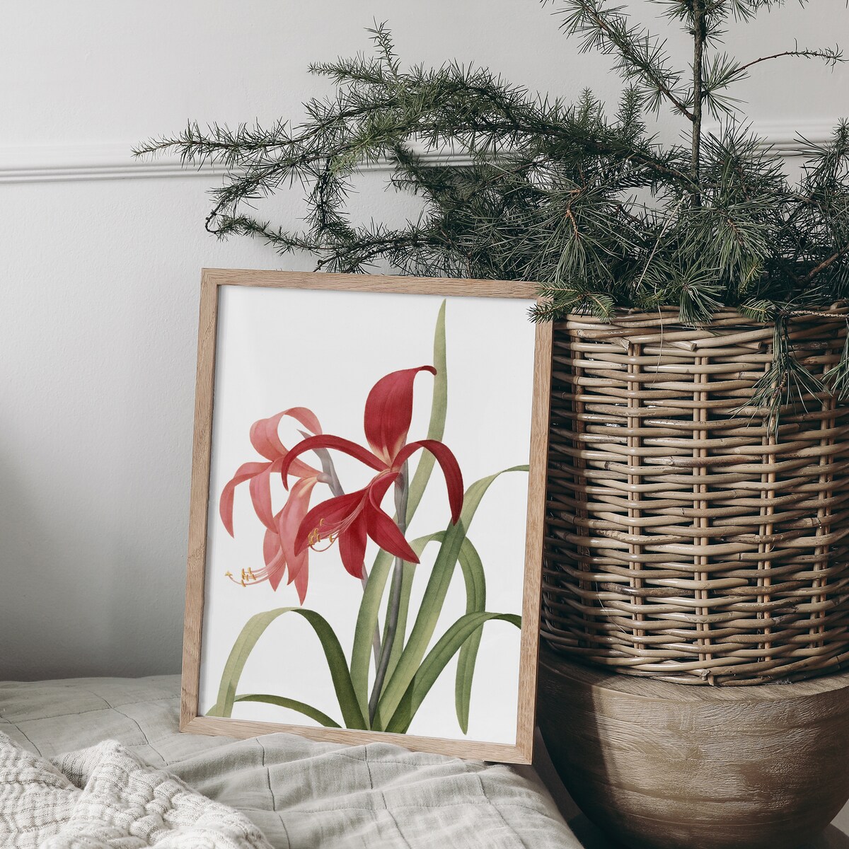 Plakat Amarylis 30x40cm