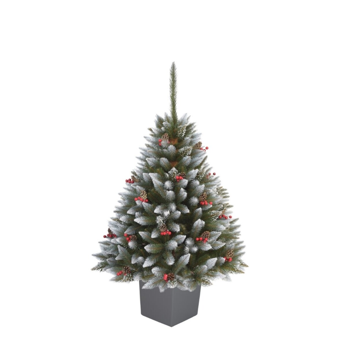 Choinka Premium Świerk Diamentowy Ilex w Kwadratowej Donicy 160 cm X-Choinka 7 kolorów donicy